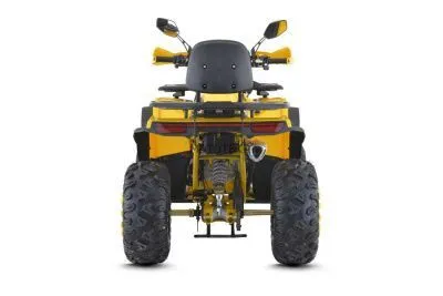 Квадроцикл FXMOTO (ФХмото) WASP 200 жёлтый (машинокомплект)