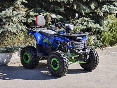 Квадроцикл детский R - MOTO (Р - Мото) Lion 110 A чёрный (машинокомплект)