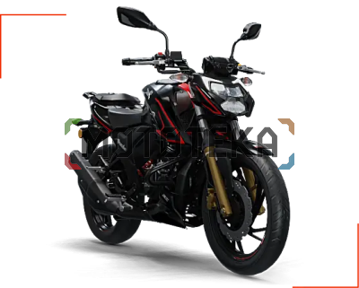 Мотоцикл дорожный TVS APACHE RTR 200 4V чёрный/красный с ПТС