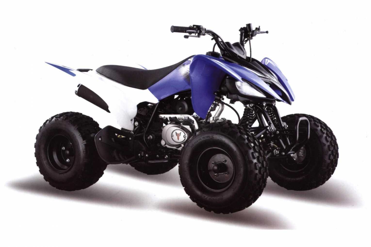 Квадроцикл MotoLand (Мотолэнд) Pantera 200 CVT (машинокомплект)