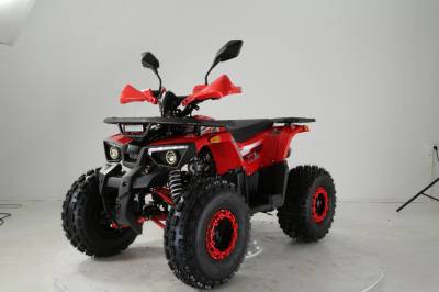 Квадроцикл детский R - MOTO (Р - Мото) Lion 125 AA красный (машинокомплект)