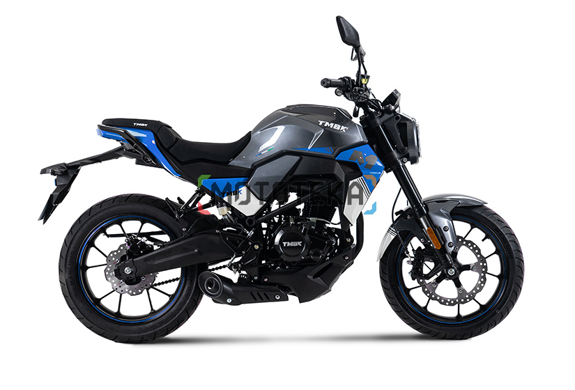 Мотоцикл дорожный TMBK MONTANA NG Grey Blue с ПТС