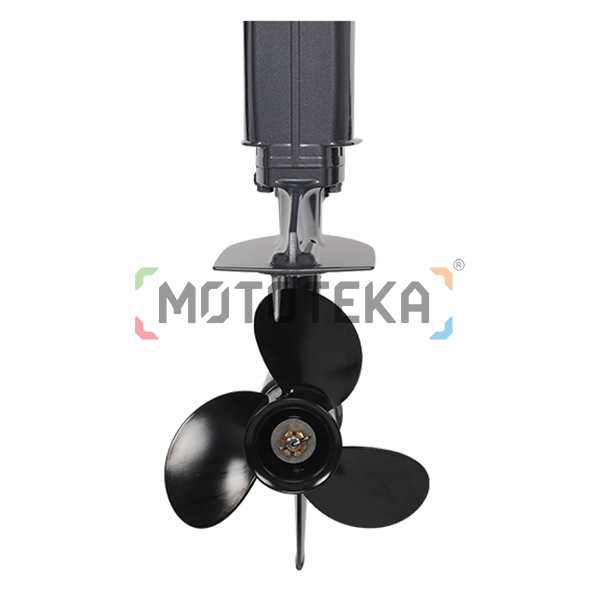 Лодочный мотор ALLFA (Альфа) CG Т9.9 MAX FW S | Мототека