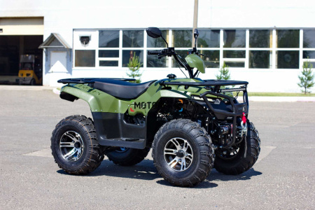 Квадроцикл IRBIS (Ирбис) ATV 200 LUX 2024 синий с ПСМ - купить с доставкой, цены в интернет-магазине Мототека