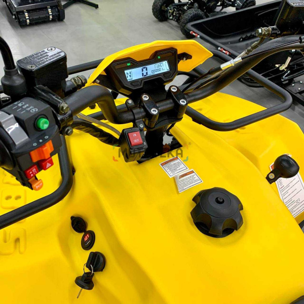 Квадроцикл IRBIS (Ирбис) ATV 200 Premium 2024 жёлтый с ПСМ | Мототека