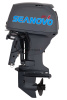 Лодочный мотор Seanovo (Сеаново) SNEF 40 FEL - T EFI - купить с доставкой, по выгодной цене в интернет-магазине Мототека