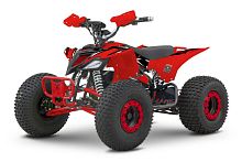 Электроквадроцикл YACOTA (Якота) E - SPORT 3000W красный (машинокомплект)