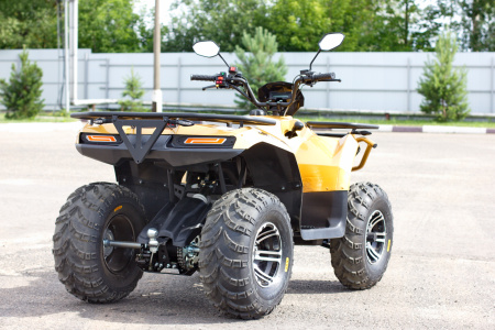 Квадроцикл IRBIS (Ирбис) ATV 200 Premium 2024 синий с ПСМ - купить с доставкой, цены в интернет-магазине Мототека